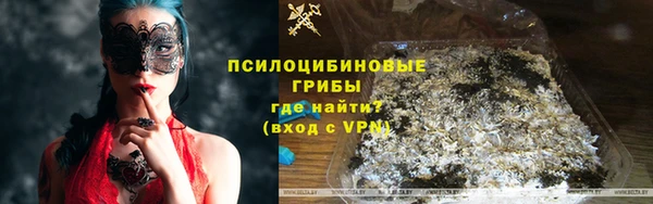 молекула духа Белоозёрский