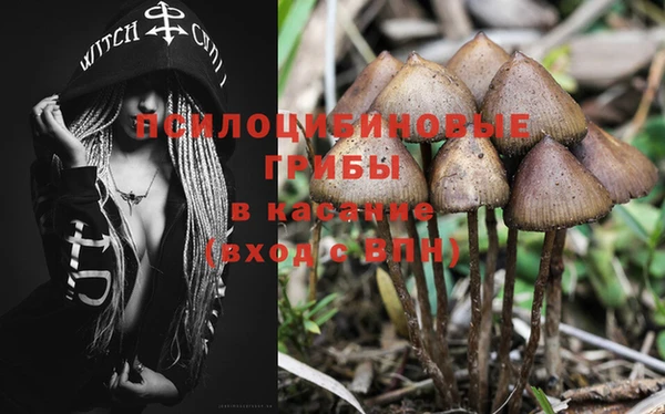 стафф Балабаново