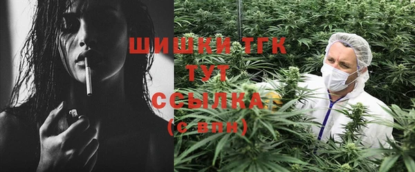 стаф Балахна