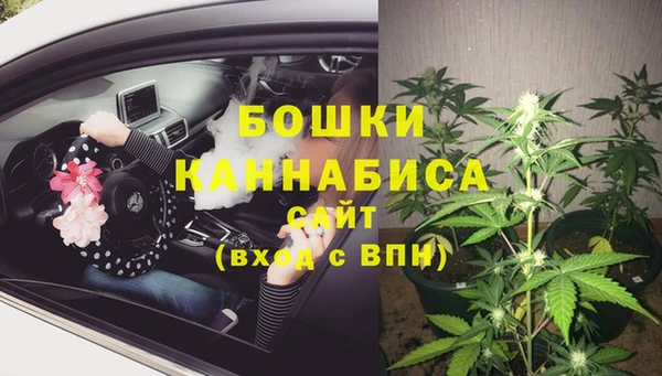 стаф Балахна