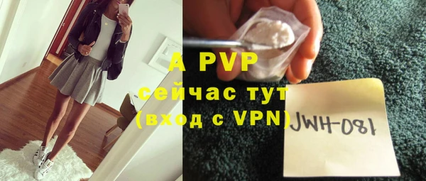 стаф Балахна