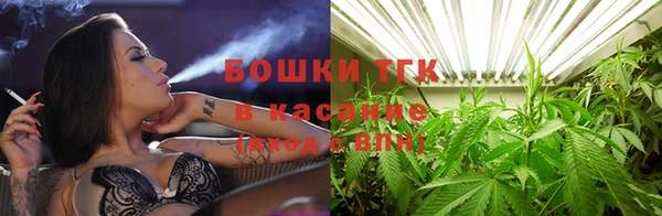 стаф Балахна